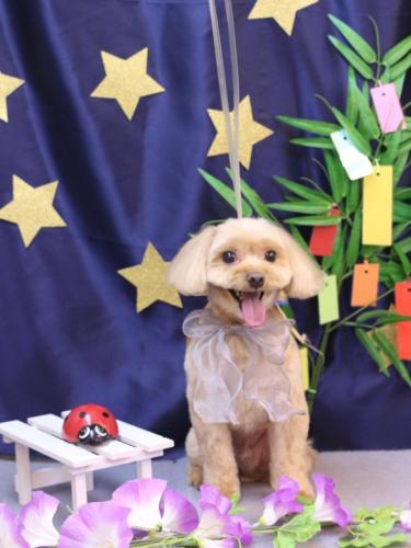 20230725ショコラくん